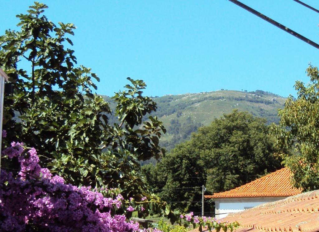 Casa Do Mosteiro De Refoios Do Lima Ponte de Lima Zimmer foto